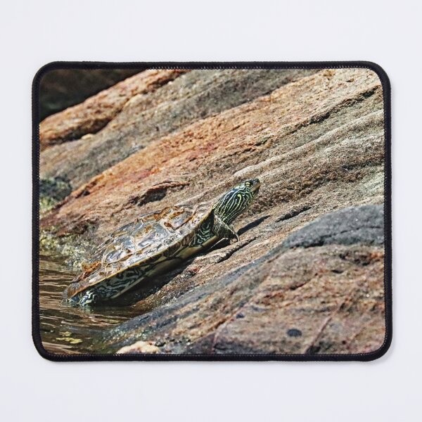 Item preview, Map Turtle Close Up designed and sold by Deb Oppermann.