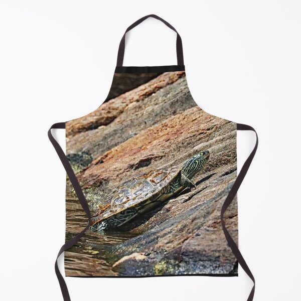 Item preview, Map Turtle Close Up designed and sold by Deb Oppermann.