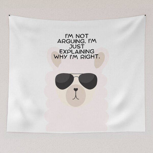 Item preview, I'm not arguing. I'm just explaining why I'm right. designed and sold by boholove101.