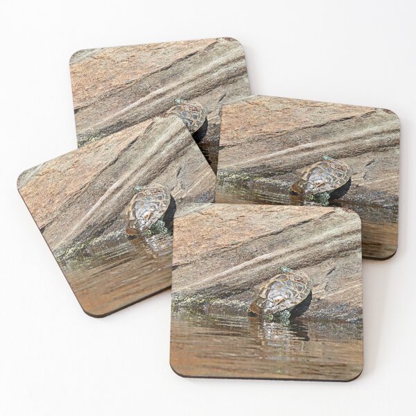 Item preview, Map Turtle Basking On Rock designed and sold by Deb Oppermann.