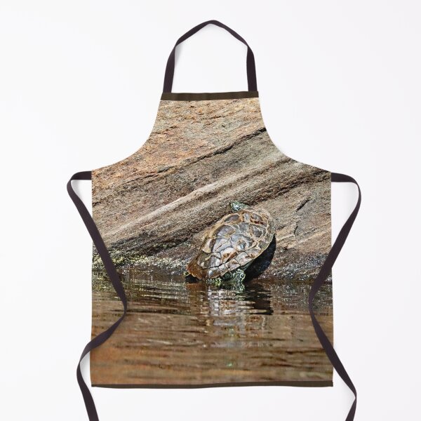 Item preview, Map Turtle Basking On Rock designed and sold by Deb Oppermann.