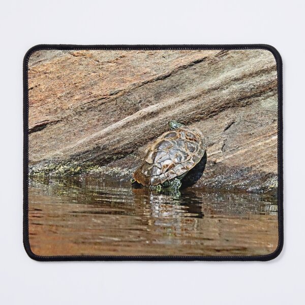 Item preview, Map Turtle Basking On Rock designed and sold by Deb Oppermann.