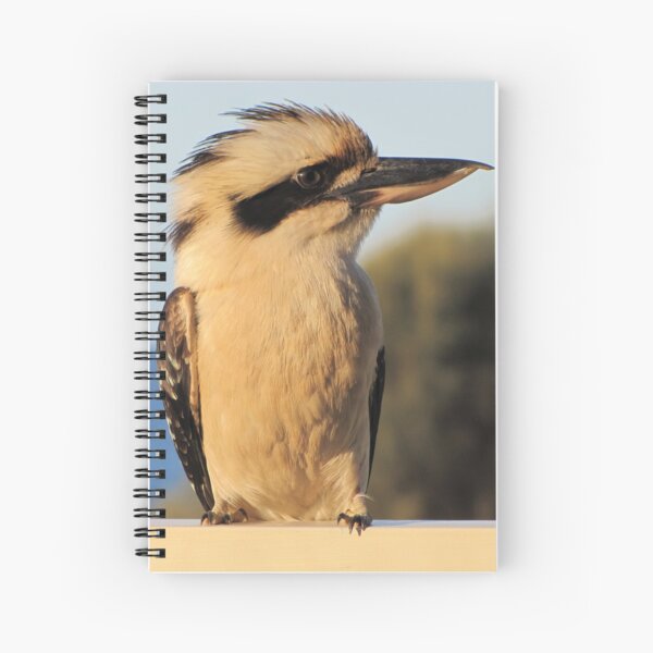 Item preview, Kookaburra  designed and sold by David Peake.
