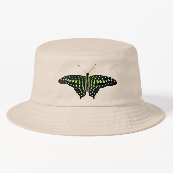 Tailed Jay Butterfly Bucket Hat for Sale by Dana Fazzino