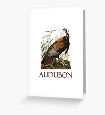 Wild Turkey by John James Audubon Greeting Card