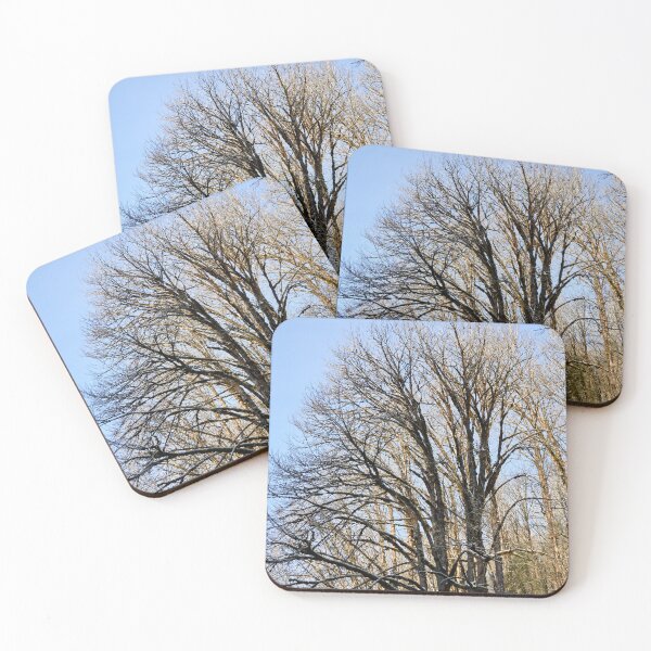 Item preview, Bare Trees and Winter Blue Sky designed and sold by couragesings.
