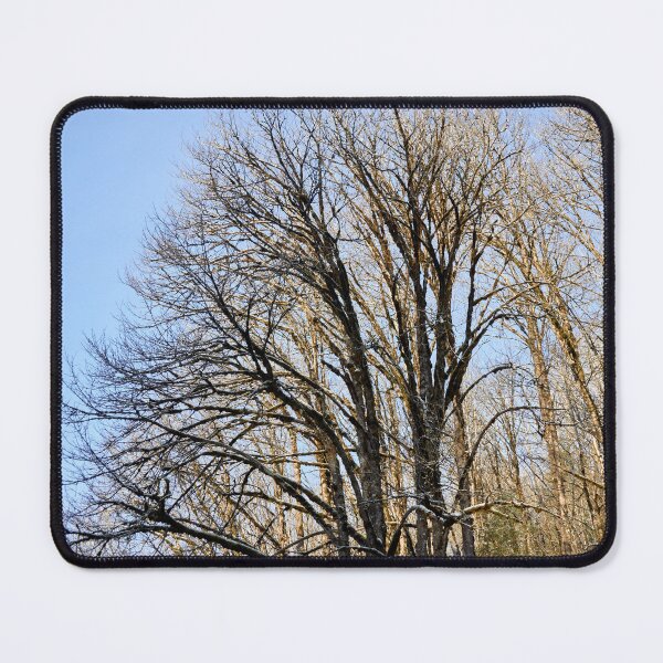 Item preview, Bare Trees and Winter Blue Sky designed and sold by couragesings.