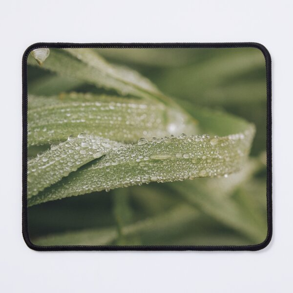 Item preview, Grass designed and sold by photobytableau.