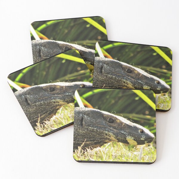 Item preview, Goanna designed and sold by David Peake.
