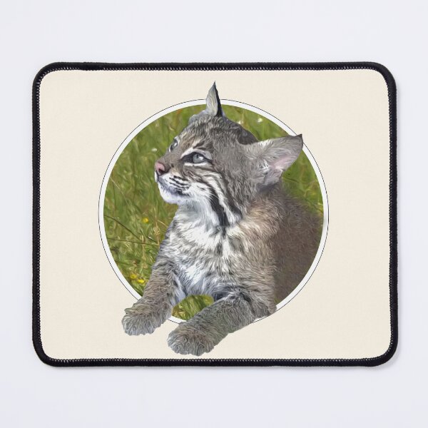 Item preview, Bobcat cub designed and sold by Guardi71.
