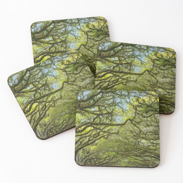 Item preview, Live Oaks at Wormsloe, Savannah designed and sold by Brian Shaw.