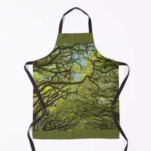 Item preview, Live Oaks at Wormsloe, Savannah designed and sold by Brian Shaw.