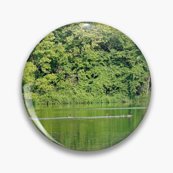 Artikelvorschau, Lake Diana-Studie 4 entworfen und verkauft von Robert Meyers-Lussier.