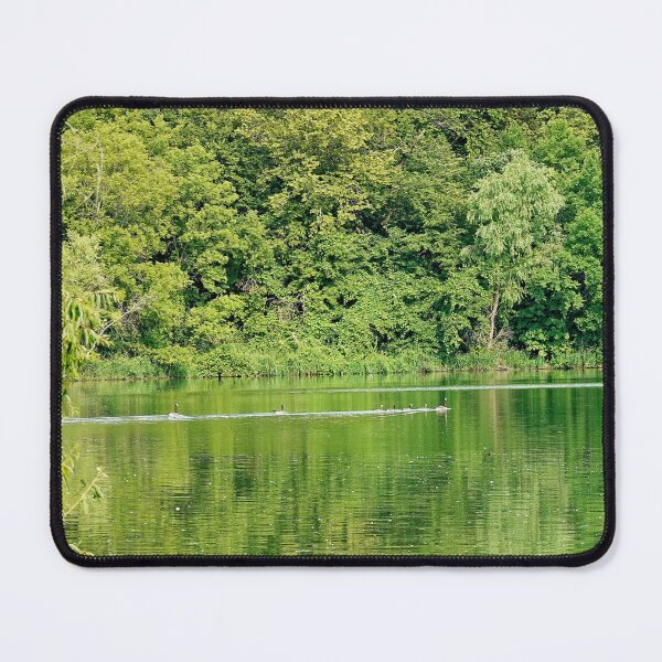 Artikelvorschau, Lake Diana-Studie 4 entworfen und verkauft von Robert Meyers-Lussier.
