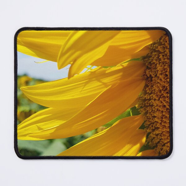 Item preview, Bright Yellow Sunflower Close-Up Artistic Photo designed and sold by DEC02.