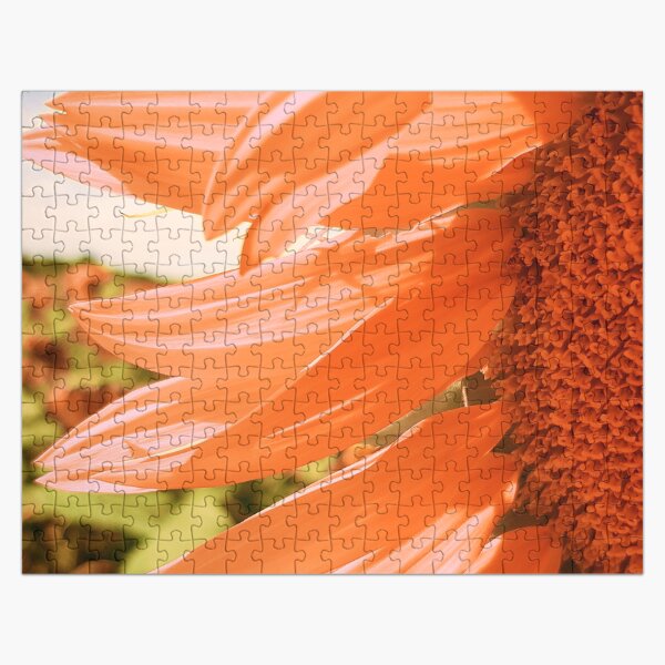 Artikel-Vorschau von Elegantes, weiches, orangefarbenes Sonnenblumen-Nahaufnahme-Kunstfoto, designt und verkauft von DEC02.