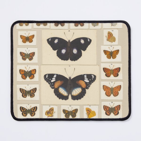 Item preview, Insects Reference Book: Butterfly designed and sold by lalatrash.