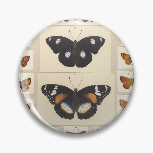 Item preview, Insects Reference Book: Butterfly designed and sold by lalatrash.