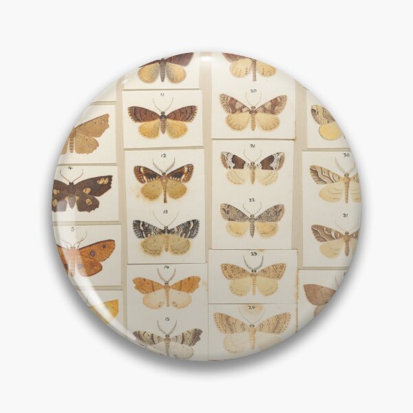 Item preview, Insects Reference Book: Butterfly designed and sold by lalatrash.