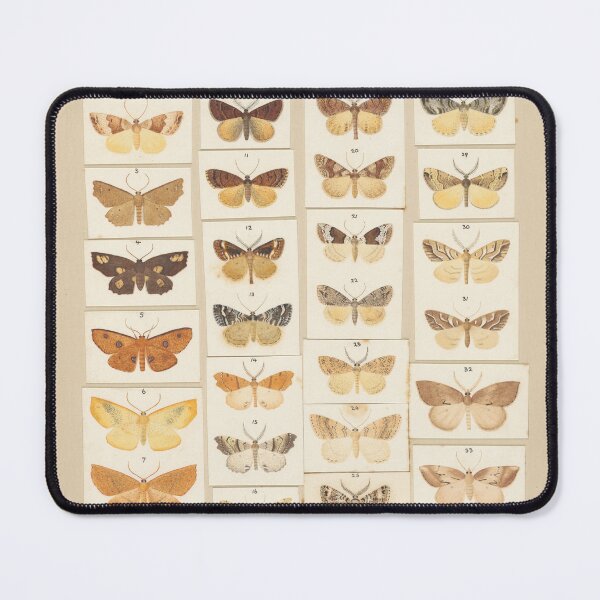 Item preview, Insects Reference Book: Butterfly designed and sold by lalatrash.