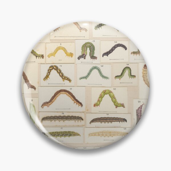 Item preview, Insects Reference Book: Caterpillars designed and sold by lalatrash.