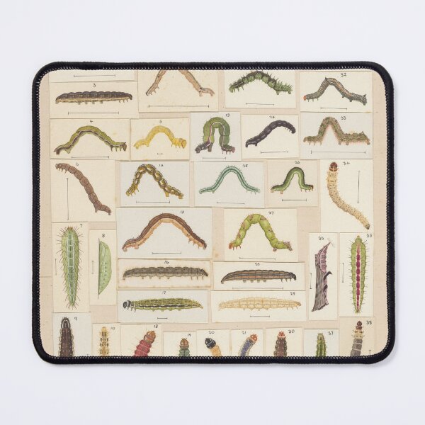 Item preview, Insects Reference Book: Caterpillars designed and sold by lalatrash.