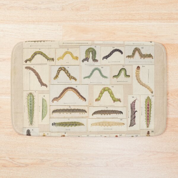 Item preview, Insects Reference Book: Caterpillars designed and sold by lalatrash.