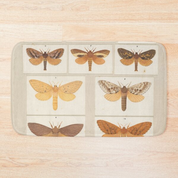 Item preview, Insects Reference Book: Moths designed and sold by lalatrash.