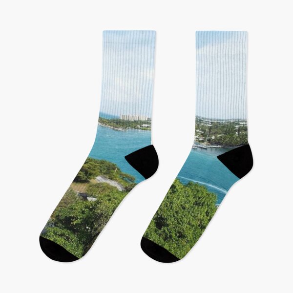 Item preview, JUPITER LIGHTHOUSE VIEW designed and sold by BridgetBresser.