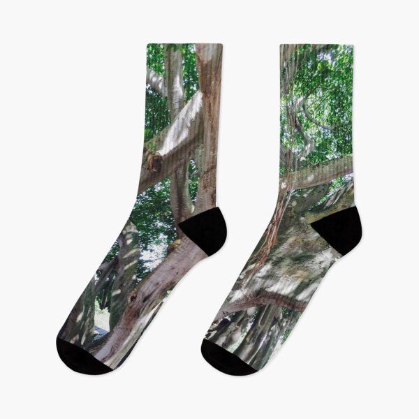 Item preview, JUPITER LIGHTHOUSE BANYAN TREE designed and sold by BridgetBresser.