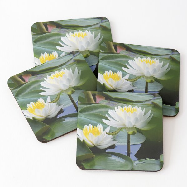 Item preview, White Pond Lilies... designed and sold by Poete100.