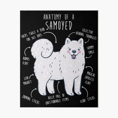 Samoyed items outlet