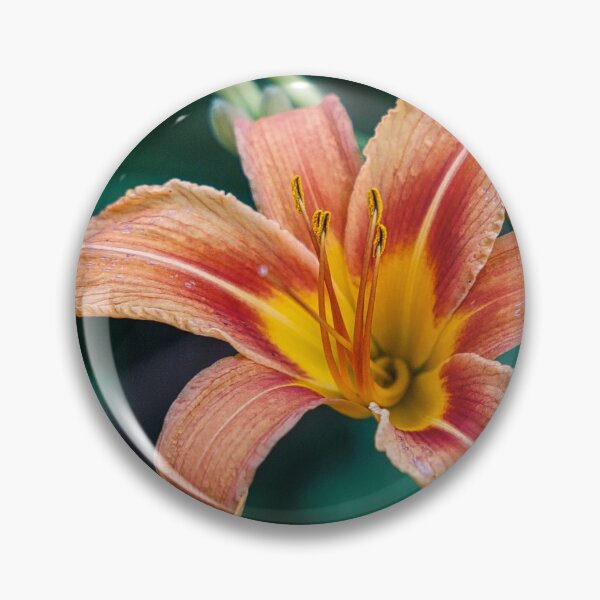 Item preview, Daylily designed and sold by Yannik Hay.