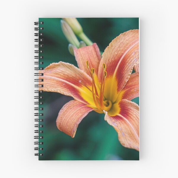 Item preview, Daylily designed and sold by Yannik Hay.