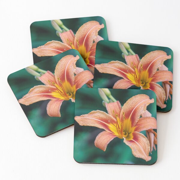 Item preview, Daylily designed and sold by Yannik Hay.
