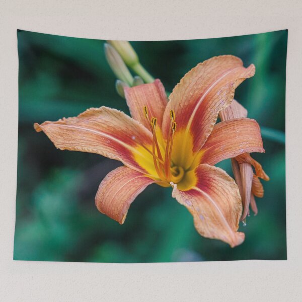 Item preview, Daylily designed and sold by Yannik Hay.