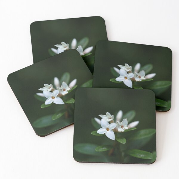 Item preview, Dramatic Daphne designed and sold by EA-Fisher.