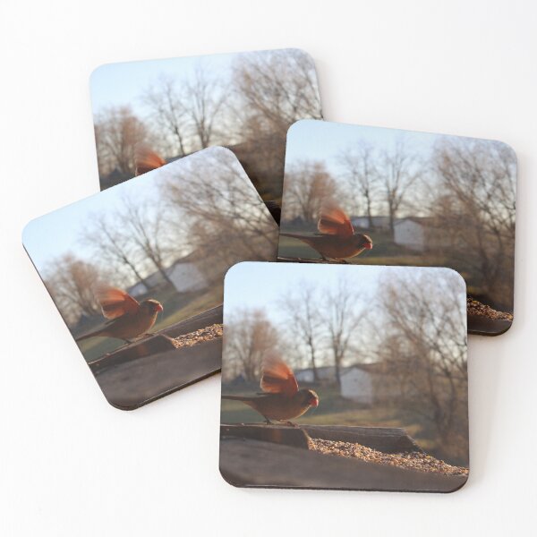 Item preview, Cardinal's Dinner designed and sold by rdthompson19.