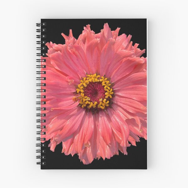 Item preview, Field Guide to Zinnias, No. 19, Pink Señorita Zinnia Flower designed and sold by Kristi Duggins.