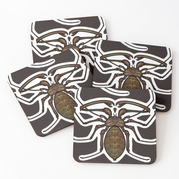 Item preview, Tailless whip scorpion  designed and sold by HopperWopper.