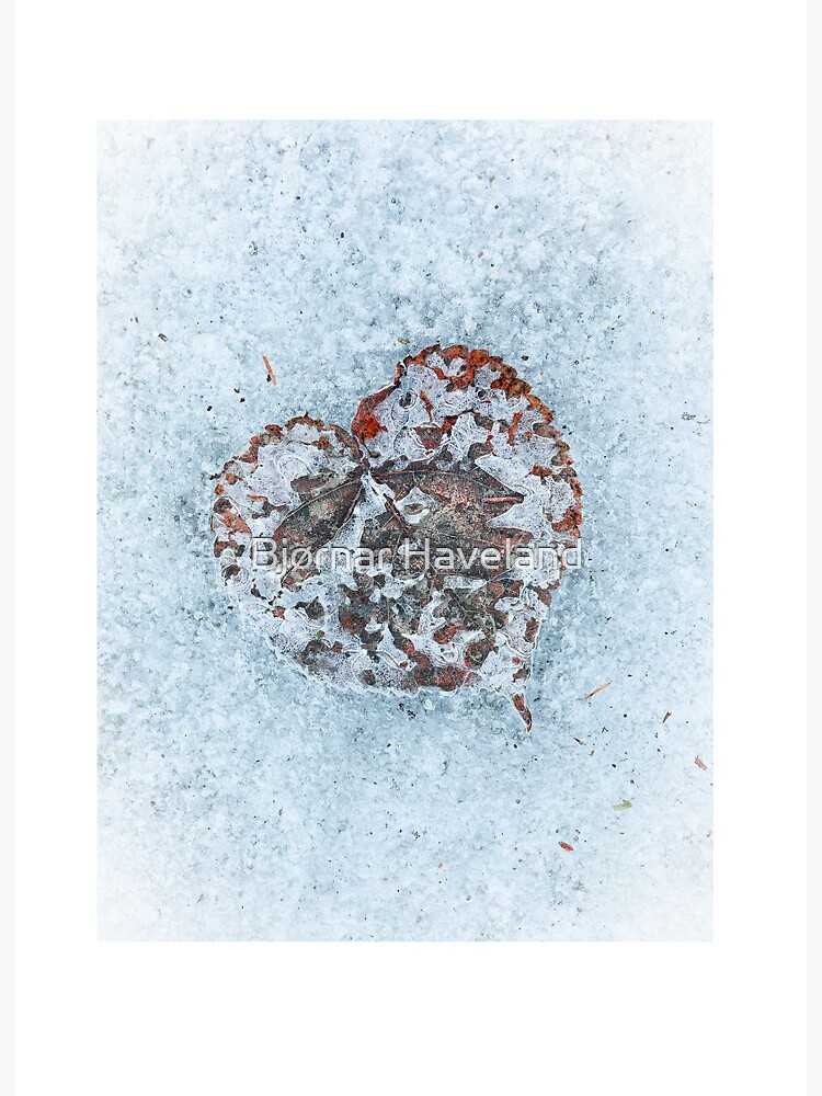 Thumbnail 2 of 2, Art Board Print, Heart On Ice designed and sold by Bjørnar Haveland.