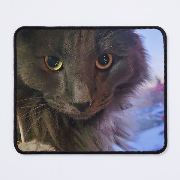 Item preview, Grey Cat designed and sold by seventySIXart&photo .