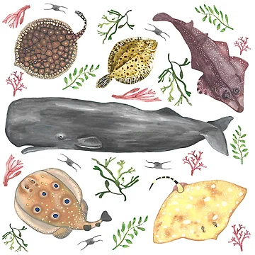 Artwork thumbnail, Ocean Creatures Pattern by RaggedyMoth