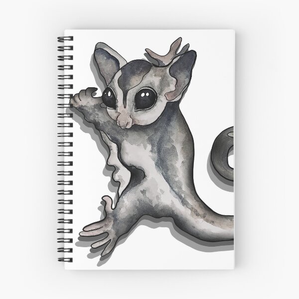 Item preview, Sugar glider cling designed and sold by kamkam19.