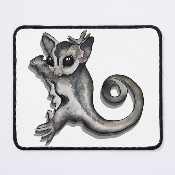 Item preview, Sugar glider cling designed and sold by kamkam19.