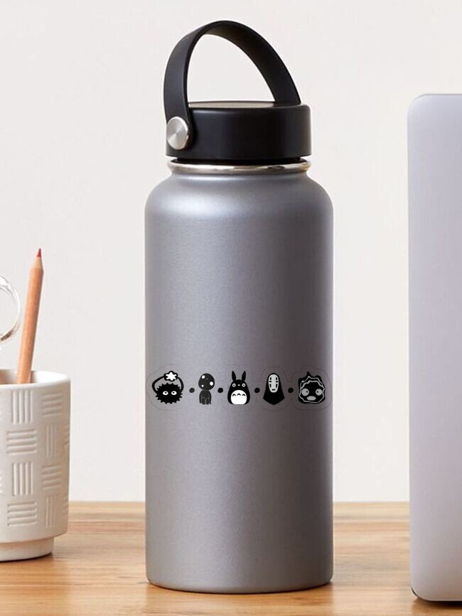 Totoro Portable Insulated Cute Glass Water Bottle – Music Chests