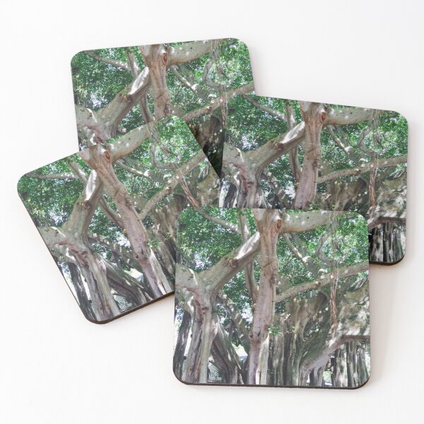 Item preview, JUPITER LIGHTHOUSE BANYAN TREE designed and sold by BridgetBresser.