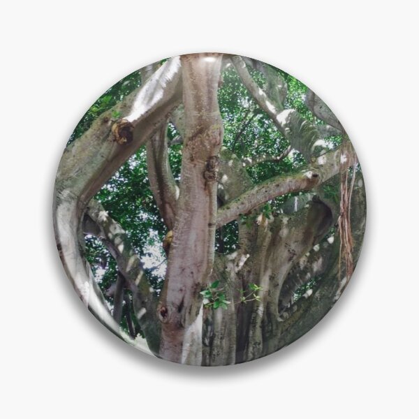 Item preview, JUPITER LIGHTHOUSE BANYAN TREE designed and sold by BridgetBresser.