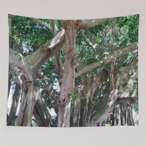Item preview, JUPITER LIGHTHOUSE BANYAN TREE designed and sold by BridgetBresser.