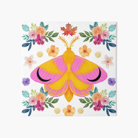 Rosy Maple Moth Art Board Print for Sale by ensdraws